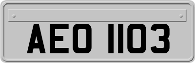 AEO1103