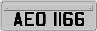 AEO1166