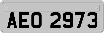 AEO2973