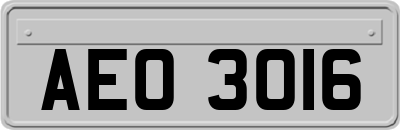 AEO3016