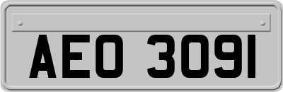 AEO3091