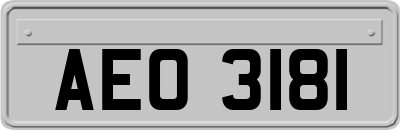 AEO3181