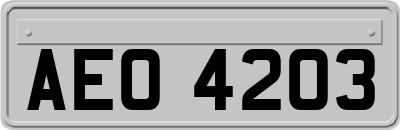 AEO4203