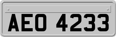 AEO4233