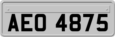 AEO4875