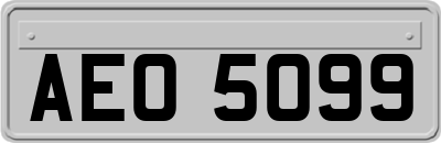 AEO5099