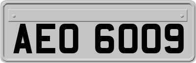 AEO6009