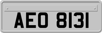 AEO8131