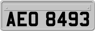 AEO8493