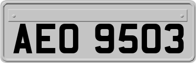 AEO9503