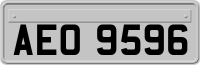 AEO9596