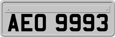 AEO9993