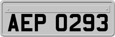 AEP0293