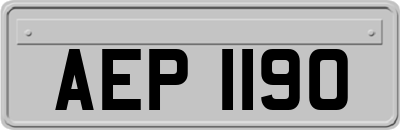 AEP1190