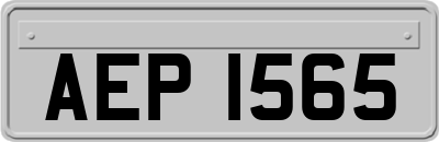 AEP1565