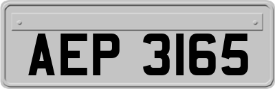 AEP3165