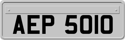 AEP5010