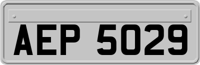 AEP5029