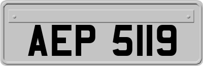 AEP5119