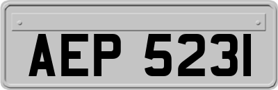 AEP5231