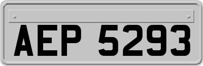 AEP5293