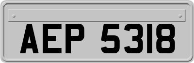 AEP5318