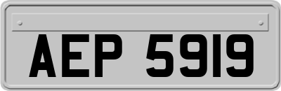 AEP5919