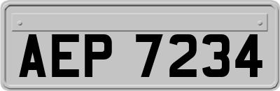 AEP7234