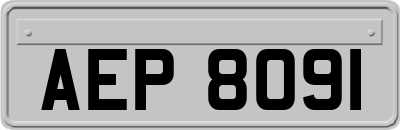 AEP8091
