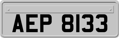AEP8133