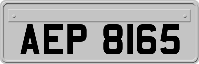 AEP8165