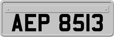 AEP8513