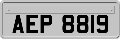 AEP8819