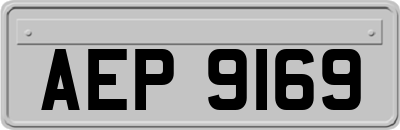 AEP9169