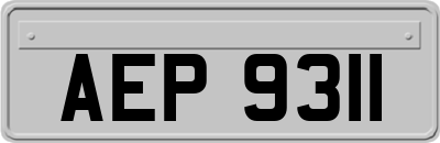 AEP9311