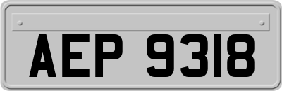 AEP9318