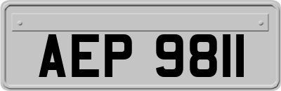AEP9811