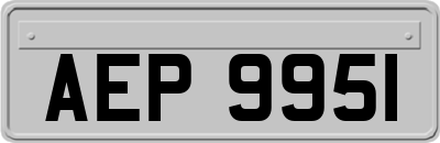 AEP9951