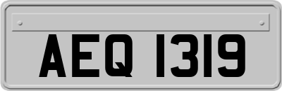 AEQ1319