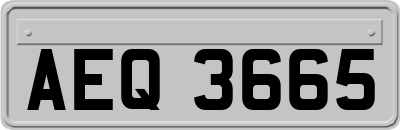 AEQ3665