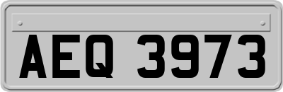AEQ3973