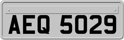 AEQ5029