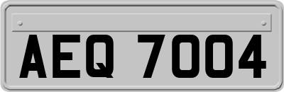 AEQ7004