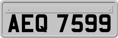 AEQ7599