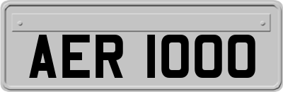 AER1000
