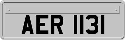 AER1131
