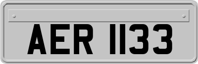 AER1133