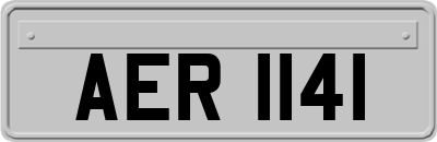 AER1141