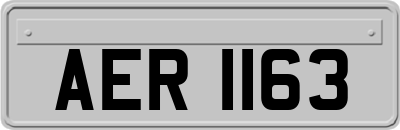 AER1163