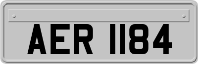 AER1184